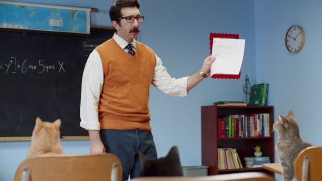 David Lengel playing a teacher in a sketch called Cat Math.
