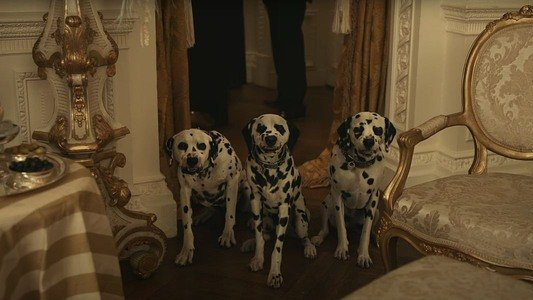 3 evil looking dalmatians looking ready to attack as seen in the new Disney live-action film