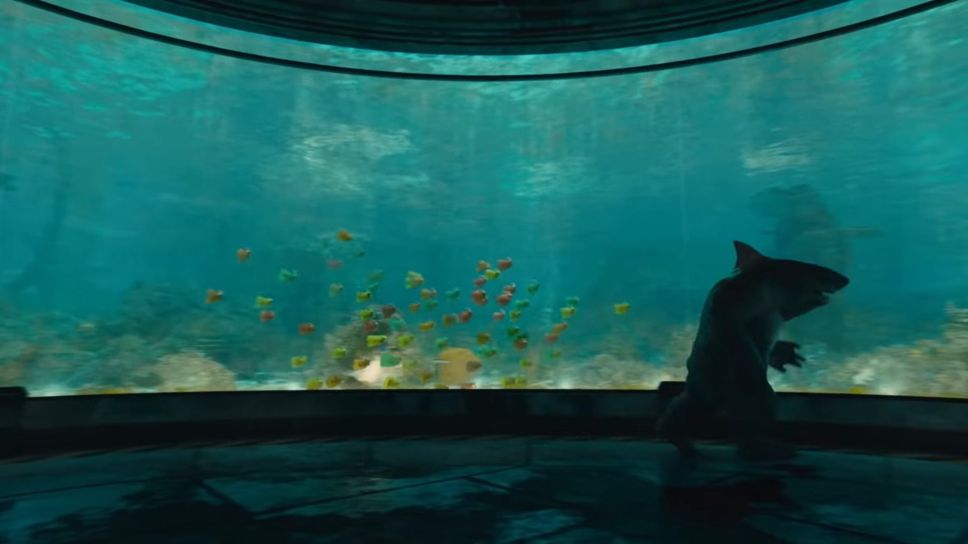 King Shark running with mutant fish in a huge aquarium as seen in the latest DC film THE SUICIDE SQUAD directed by James Gunn.