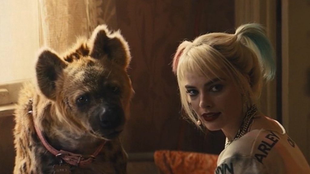 Margot Robbie as Harley Quinn sits with her pet hyena as seen in BIRDS OF PREY, coming in at number 3 in our DCEU ranking from worst to best.