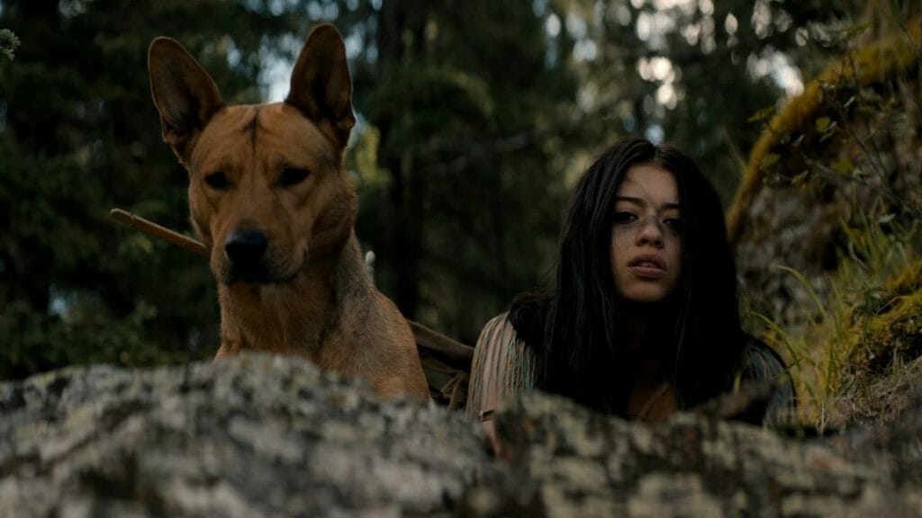Amber Midthunder as the Comanche warrior Naru and her loyal Carolina dog Sarii played by animal actor Coco look down at a feasting bear from on top of a cliff in PREY now streaming on Hulu.