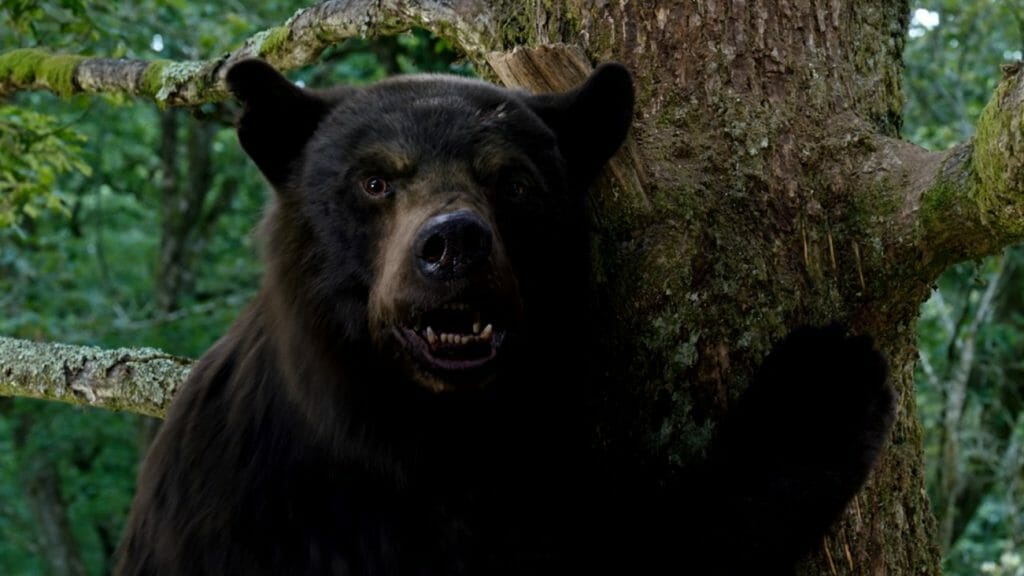 The giant 500 pound apex predator bear looks ferocious as it hungers for more cocaine in the dark comedy film COCAINE BEAR directed by Elizabeth Banks.