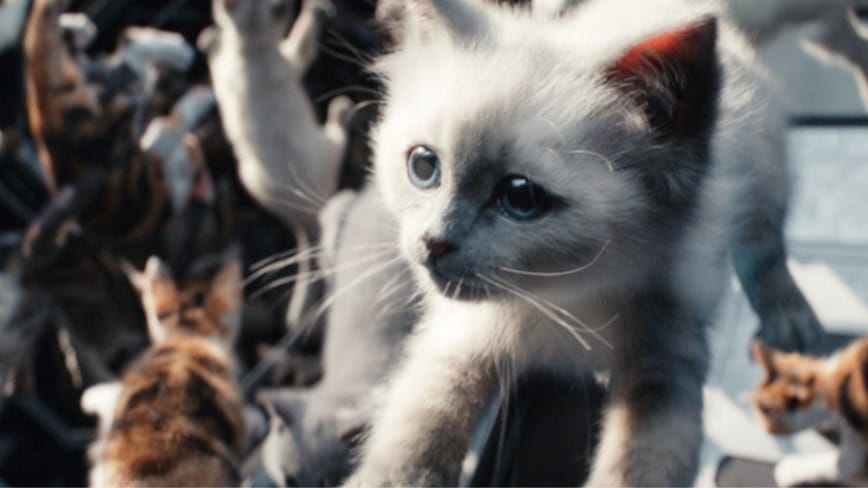 A bunch of cute flerken kittens float in zero gravity in a comedic action scene from the MCU movie THE MARVELS.